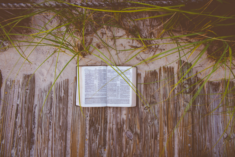 A l&rsquo;ombre des pins, on vous partage notre liste de lecture